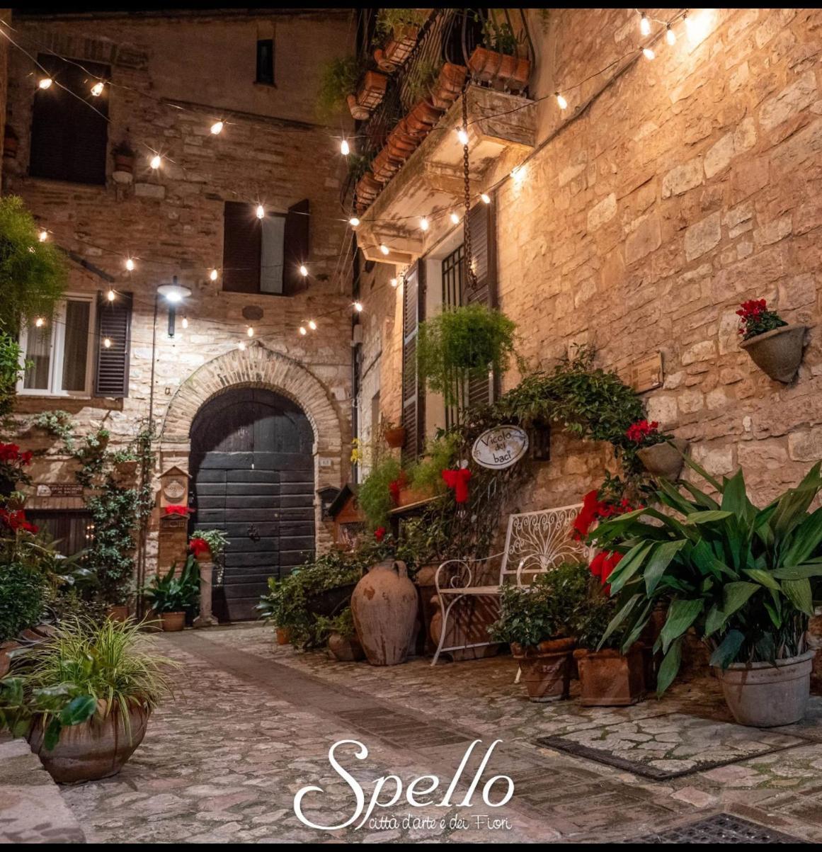 Il Sogno Lejlighed Spello Eksteriør billede